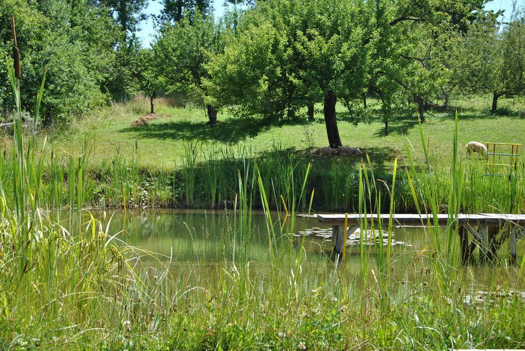 Gazdovsky Dvor "U Tlaciarov" Liptovský Trnovec Buitenkant foto